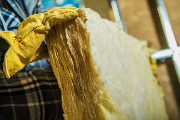 Best Insulation Repair Services  in Conway, SC